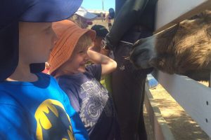 Yoga Sprouts Yoga Sprouts